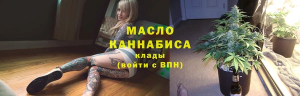 гашик Надым