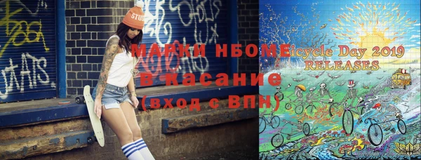 гашик Надым