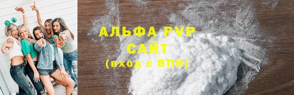 гашик Надым