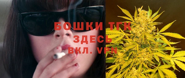 гашик Надым
