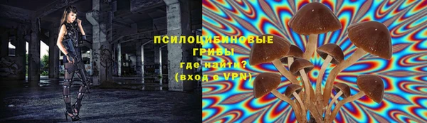 гашик Надым