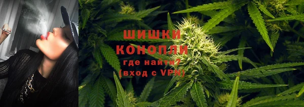 гашик Надым